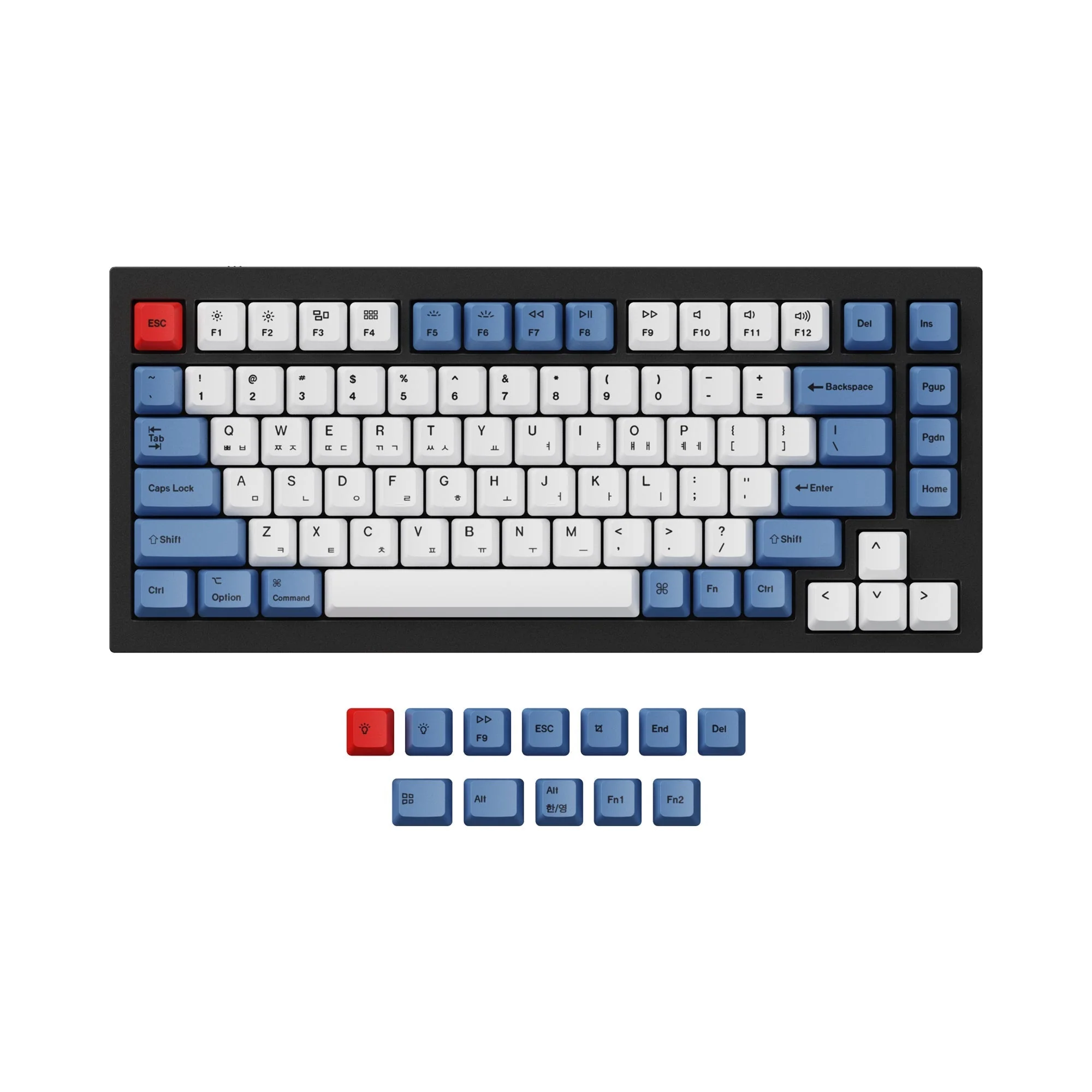 ISO & ANSI Q1 & Q2 & K2 OEM Dye-Sub PBT Keycap Set - Blue - Image 7