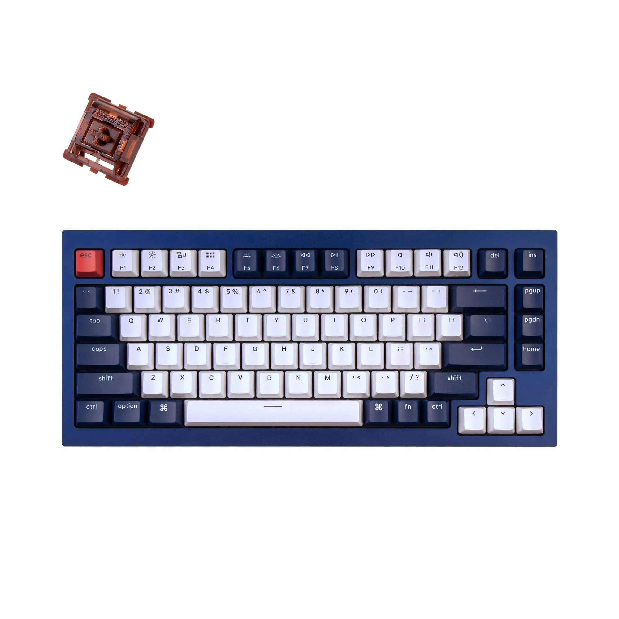Keychron Q1 QMK Custom Mechanical Keyboard - Version 1 - Image 10