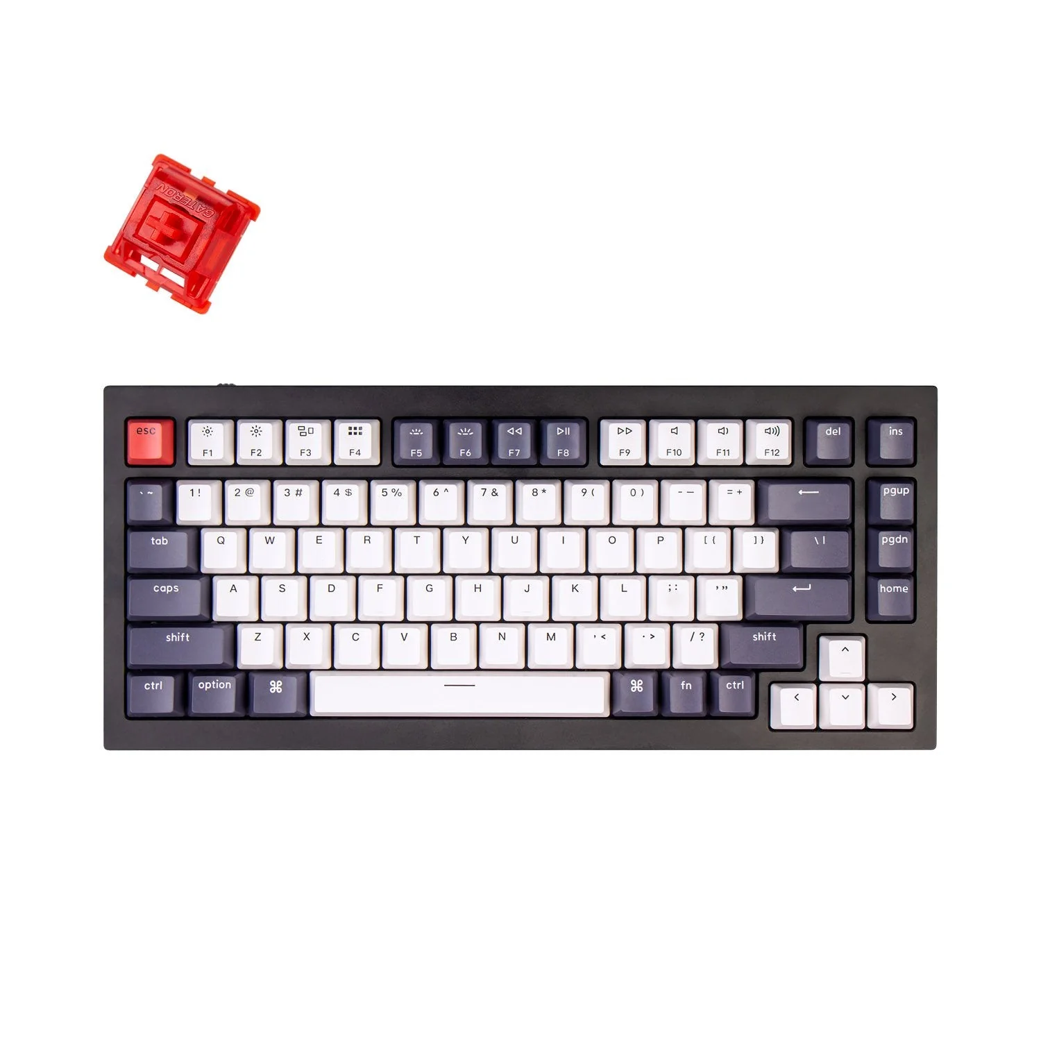 Keychron Q1 QMK Custom Mechanical Keyboard - Version 1 - Image 6